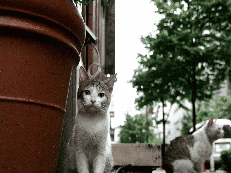 试管用药 清单有机试管怎么清洗打了疫苗后试管